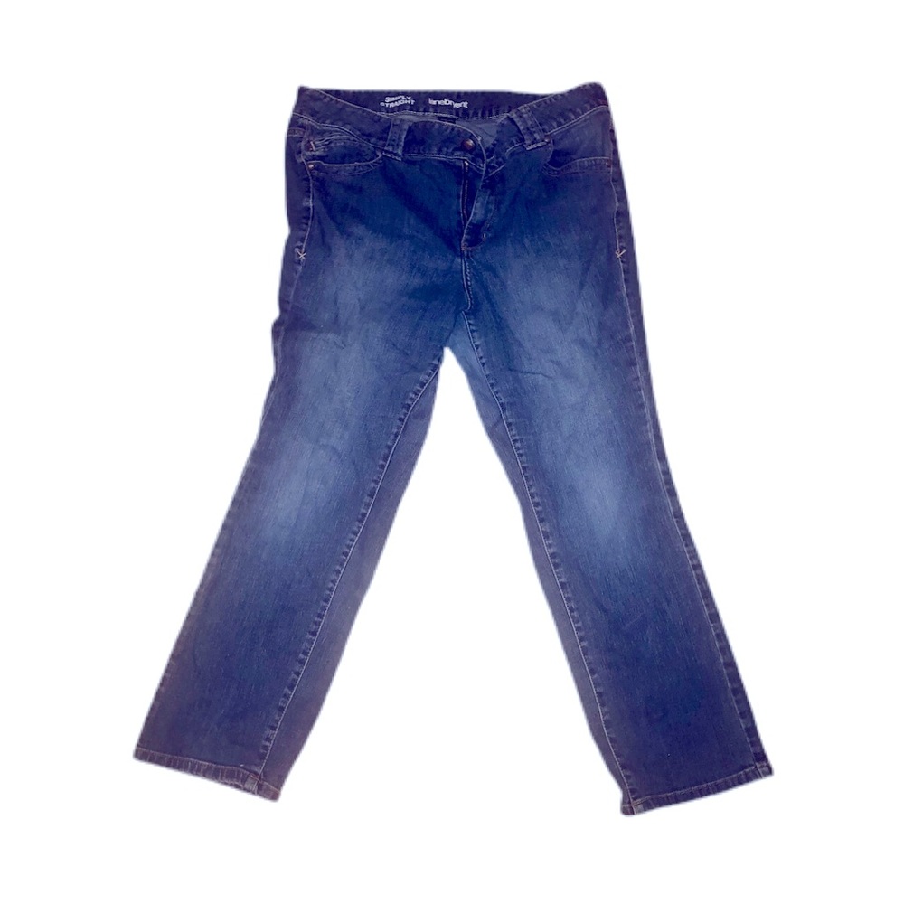 Lane Bryant plus sized straight  jeans 22petite
